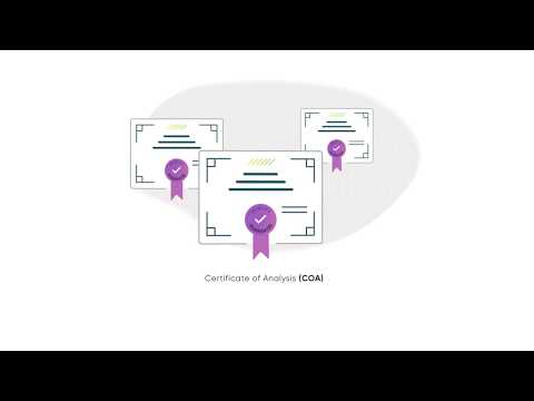 hqdefault